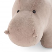 Hippo 20