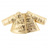Clothing set: Golden Jacket 