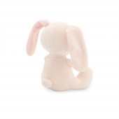 Surprise the Bunny 15cm