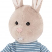 Lucas the Rabbit 