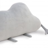 Cushion: Cloudlet