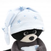 Denny the Raccoon: Sweet Dreams
