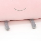 Cushion: Cloudlet