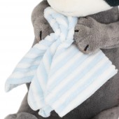 Denny the Raccoon with towel