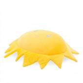 Cushion: Sun