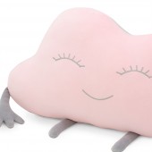 Cushion: Cloudlet