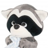 Denny the Raccoon with towel