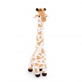 Giraffe 37